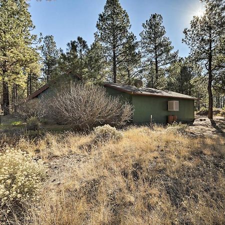 Family-Friendly Forested Home With Snow Play Area! Flagstaff Exterior foto